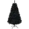 Black Color