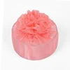 NO13 Coral