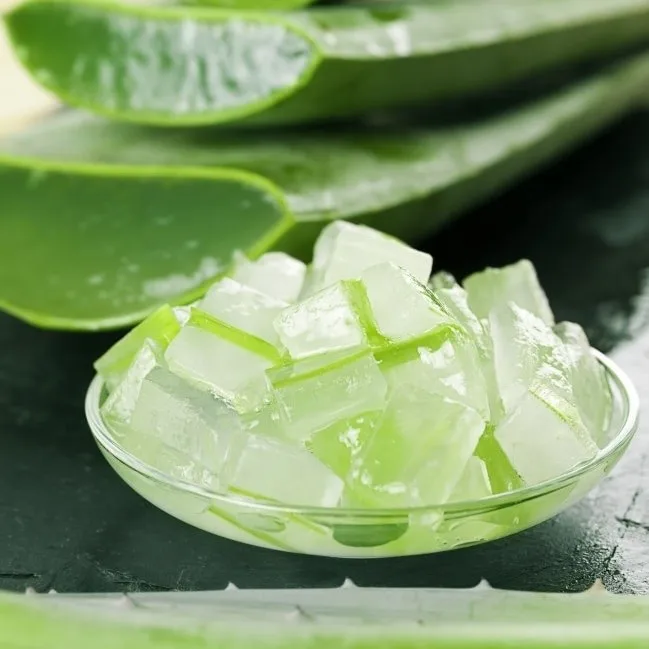 Premium Grade Aloe Vera Jelly Chunks Vegan Friendly Soft Cubes for  Beverages Dessert and Food Processing