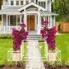 CREAM WHITE Color