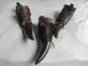 NATURAL HORN COLOUR