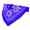 Blue Color
