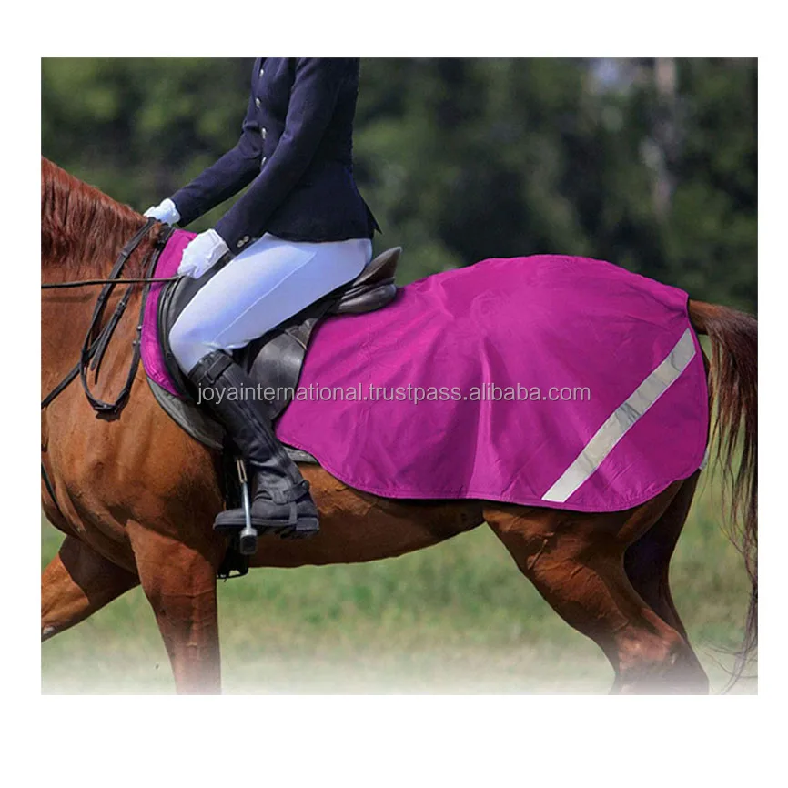 Seasonal Turnout Horse Exercise Sheet Blanket Ripstop 6001680 Denier