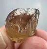 multi