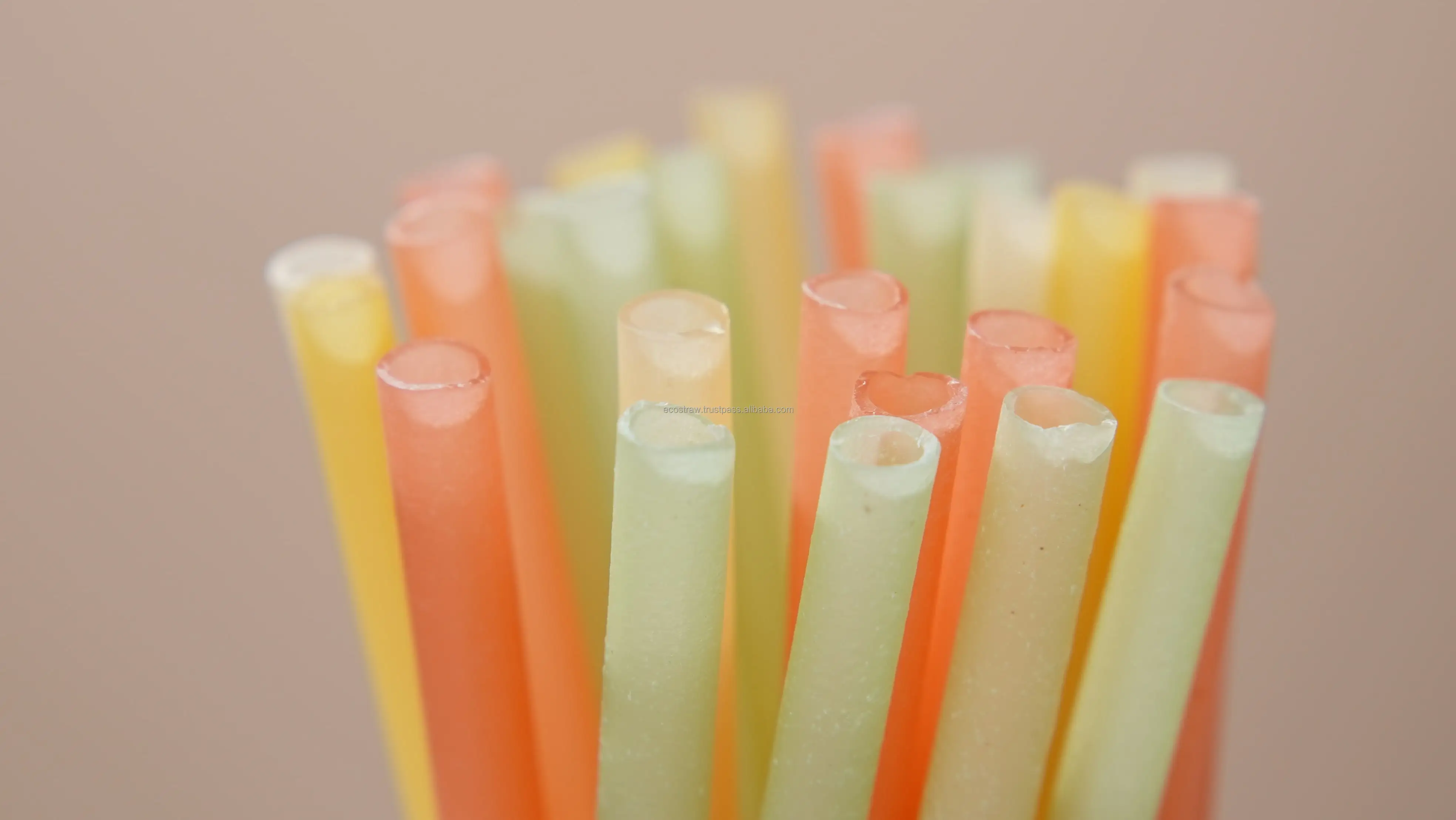 Biodegradable Ecofriendly Straw Edible Rice Straw Flour Straw For Drinking From Vietnam Buy