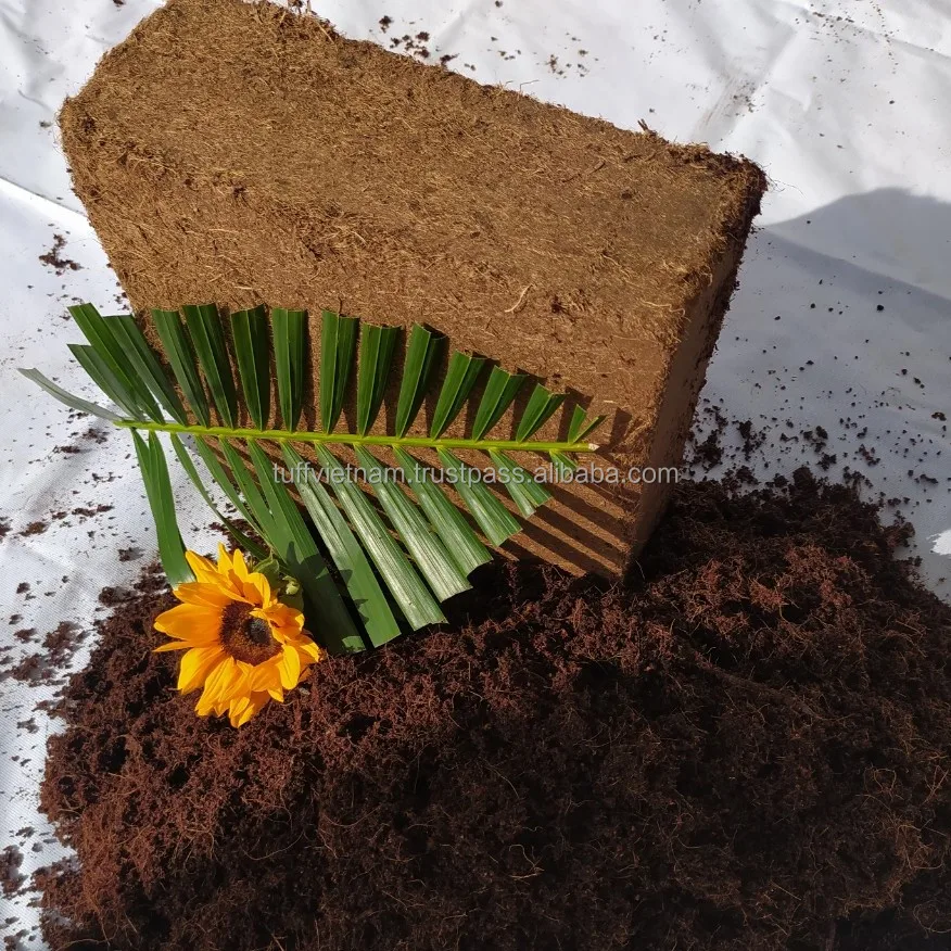 Cocopeat Soil For Cat Litter informacionpublica.svet.gob.gt