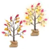 Maple Tree Light Color
