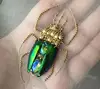 Multi