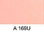 A 169U