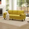 Mustard Color