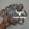 Customized color