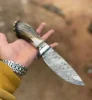 Ciruela