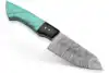 Turquoise Green/Blue & Ebony Black
