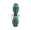Kingman Turquoise