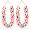Red White Clear Transparent