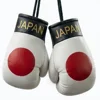 bandera de Japón