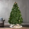 Green Color