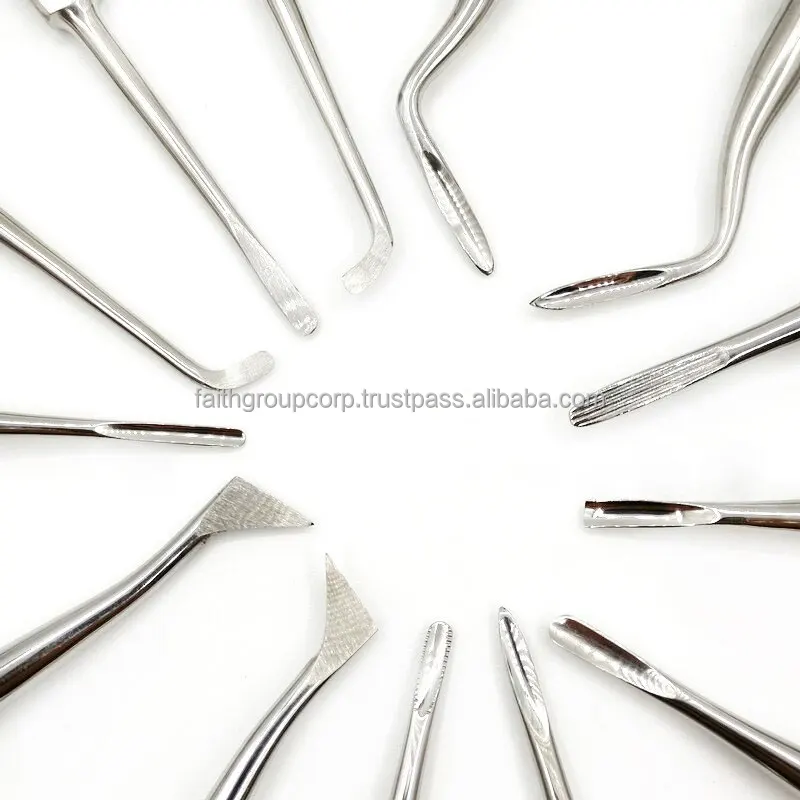 Dentist Surgical Tools Dental Elevator Teeth Extraction Tooth