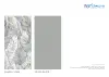 SILVER FLORA  Silver Grey SILVER SLATE Cool Silver Grey