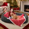 DarkGrey Christmas Color