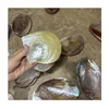 สีเหลือง
