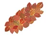 SAME AS IMAGE