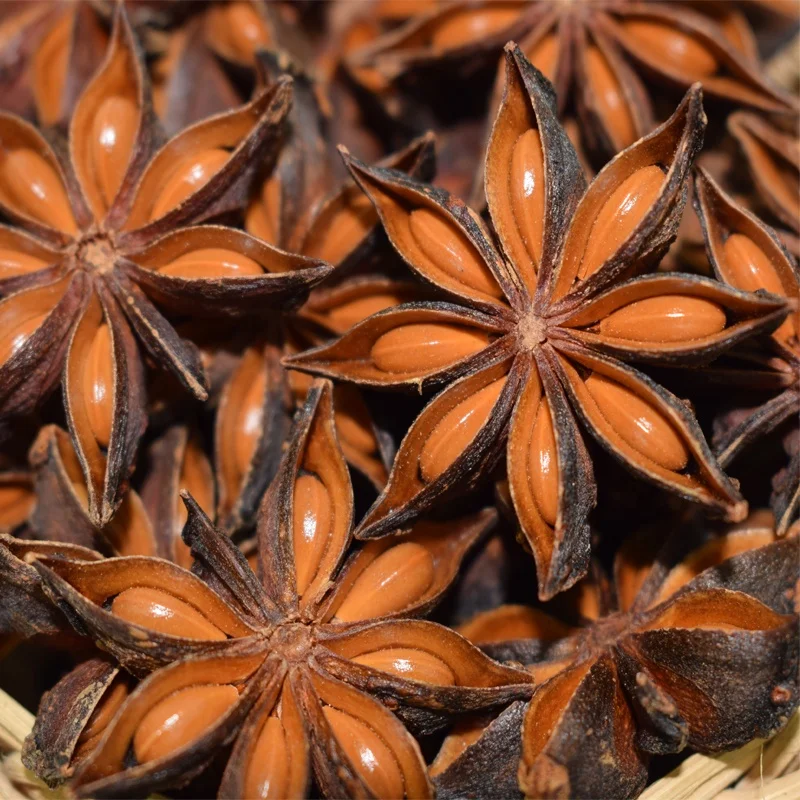 Самые дешевые вьетнамские семена сломанного осеннего аниса/аниса + 84 326055616