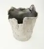 Como se muestra