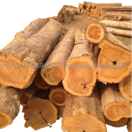 Teak Wood Logs (2).JPG
