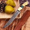 Damascus Steel & Camel Bone , Resin