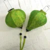 Verde claro