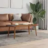 Brown Color