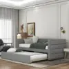 as pic Color