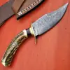 Handmade D2 Damascus Steel Bowie Knife Camel Bone