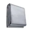 Silver Exterior, Brown Interior Color