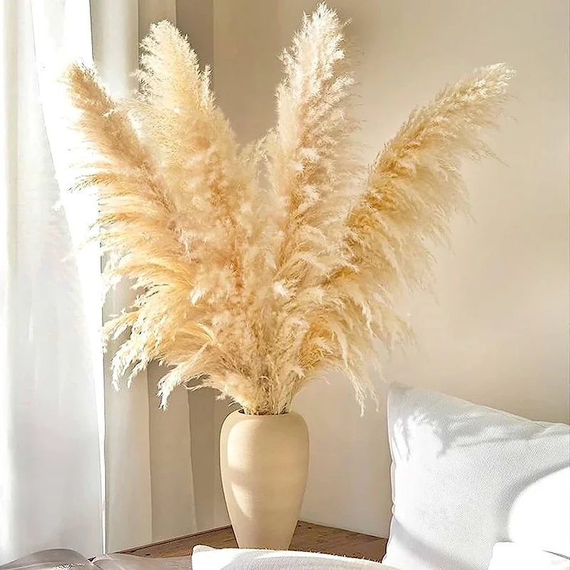 Custom Red Pink Blue Dry Pampas Grass High Quality Dried Flowers For 