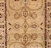 Cream, Camel