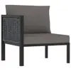 Anthracite Color