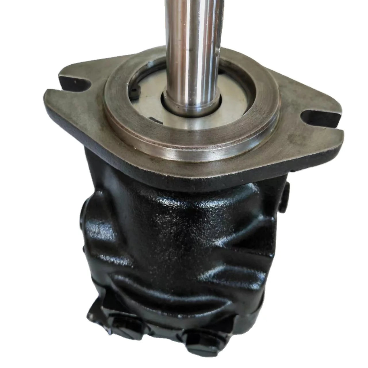 Sauer MMF/MMV Series MMF025 MMF035 MMF044 MFF046 Hydraulic Pump Motor Good Price