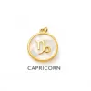 Carricorn