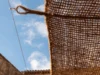 Natural Coconut