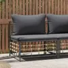 Anthracite Color