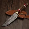 Stag Horn