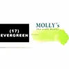 #17_evergreen