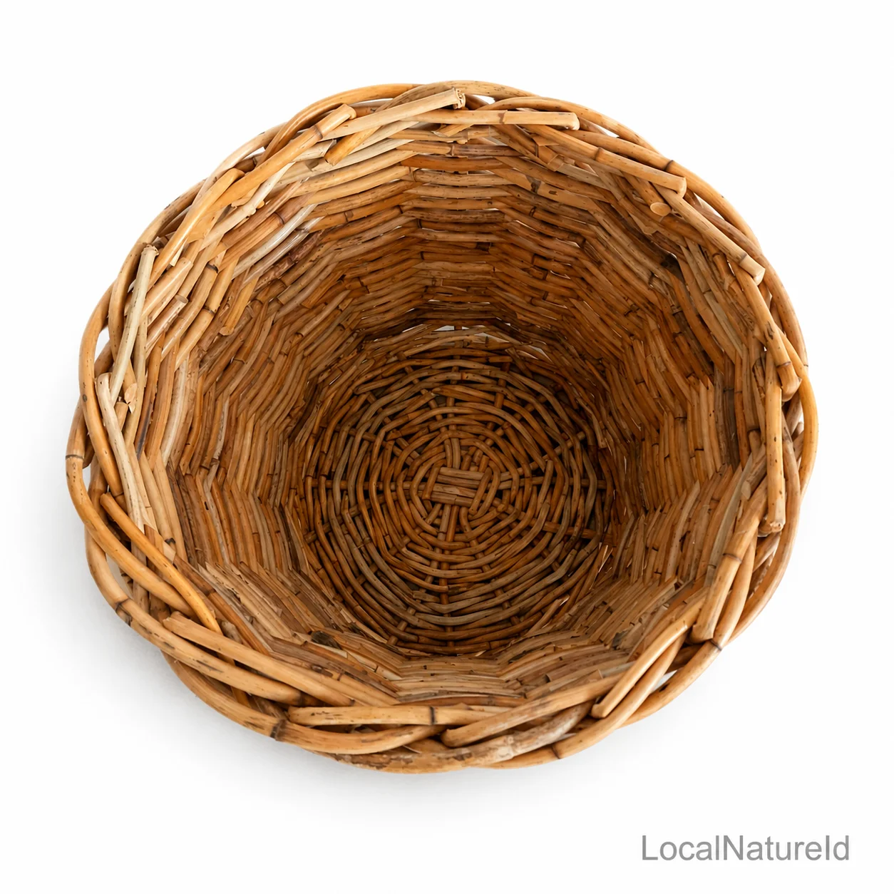 ChatGPT Image Jul 15, 2026, 04_08_40 PM.png