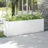 White Color