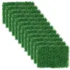 Green Color