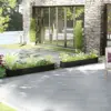 Black Color