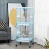 Light Blue Color