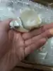 Blanc